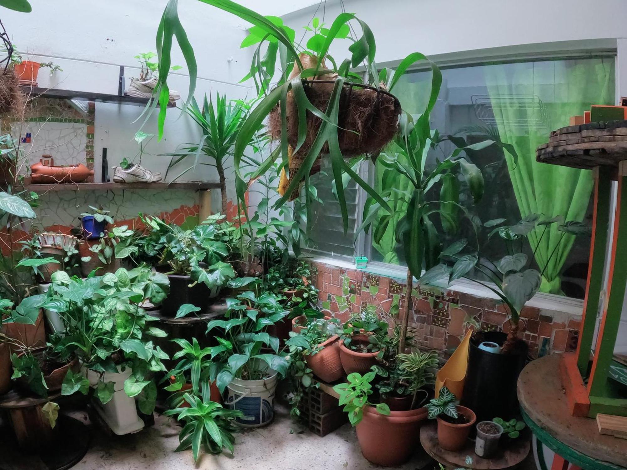 Hostal Rich Medellin Ngoại thất bức ảnh